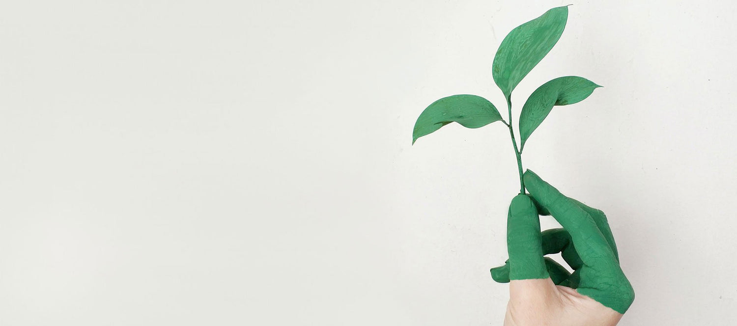 How to grow your average order value in Shopify