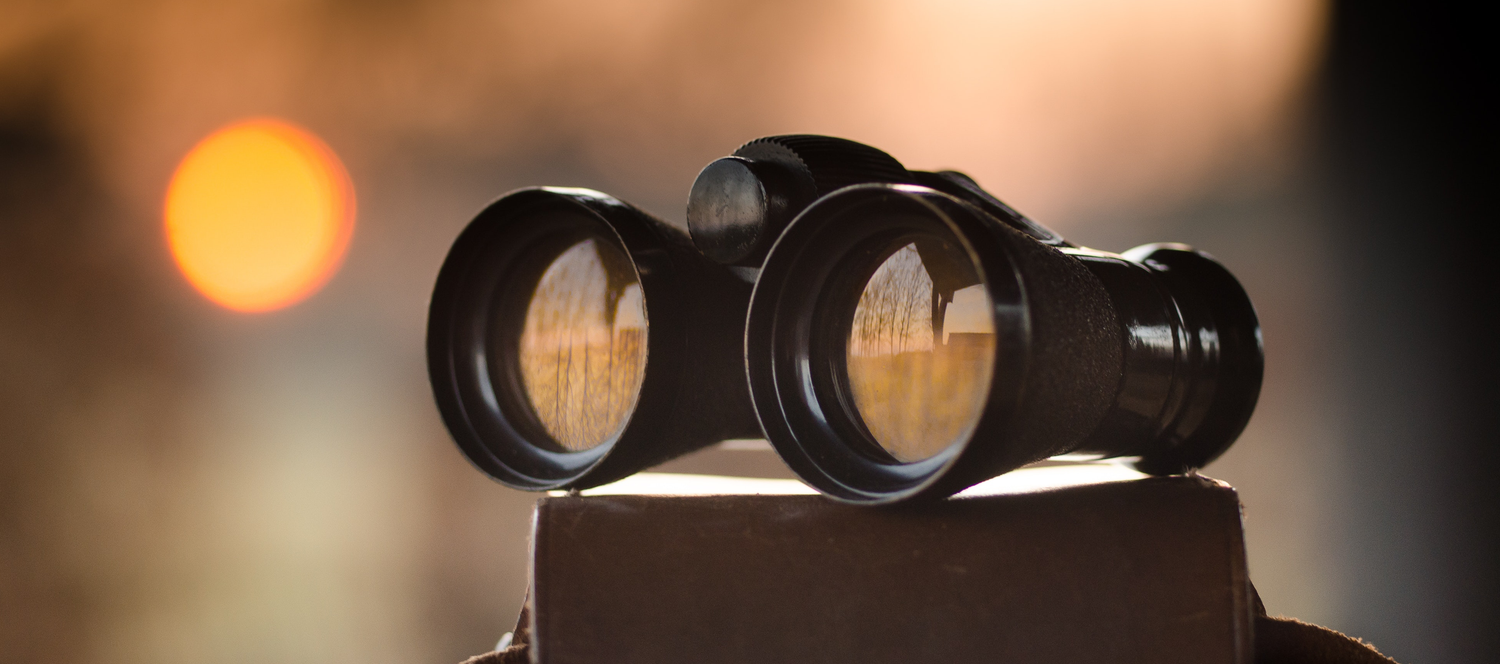 How to get your website found