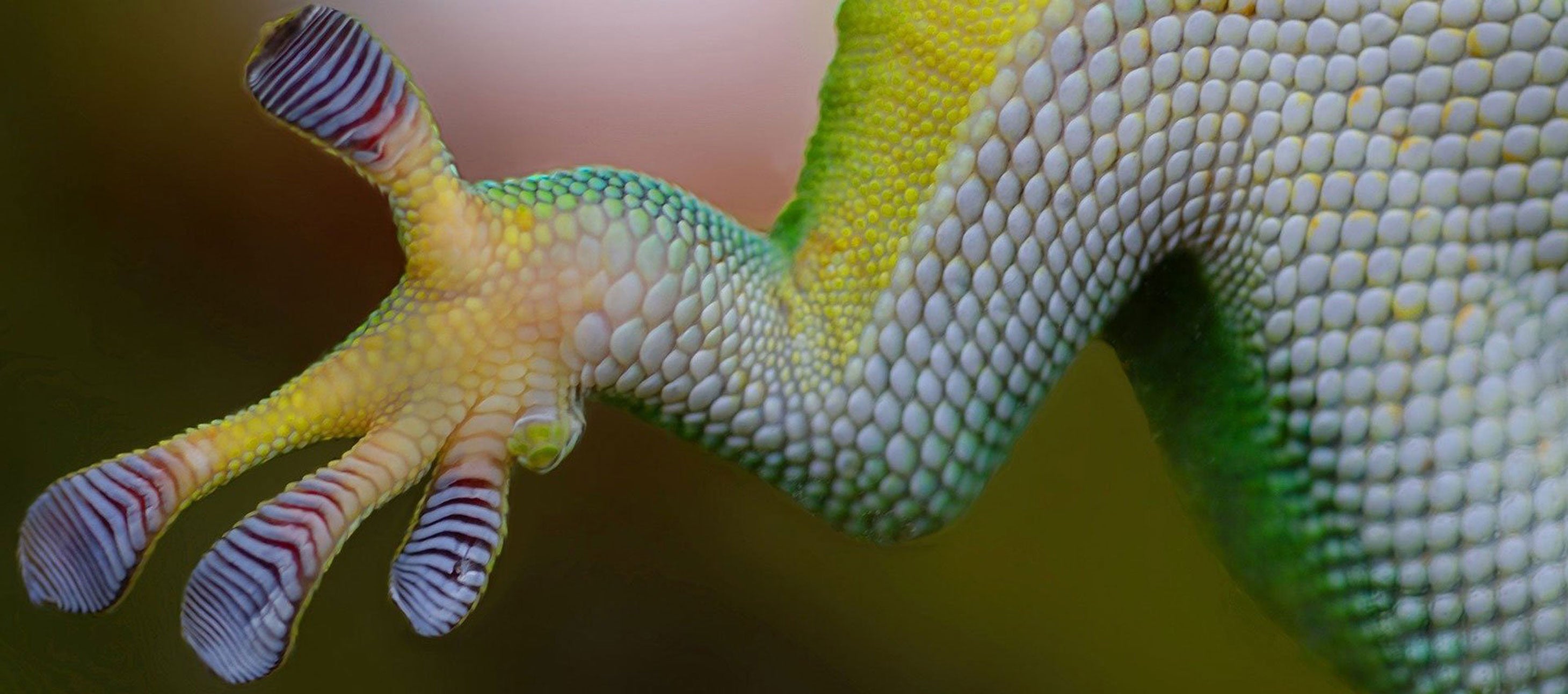 How do you make customers stick? Use G.L.U.E