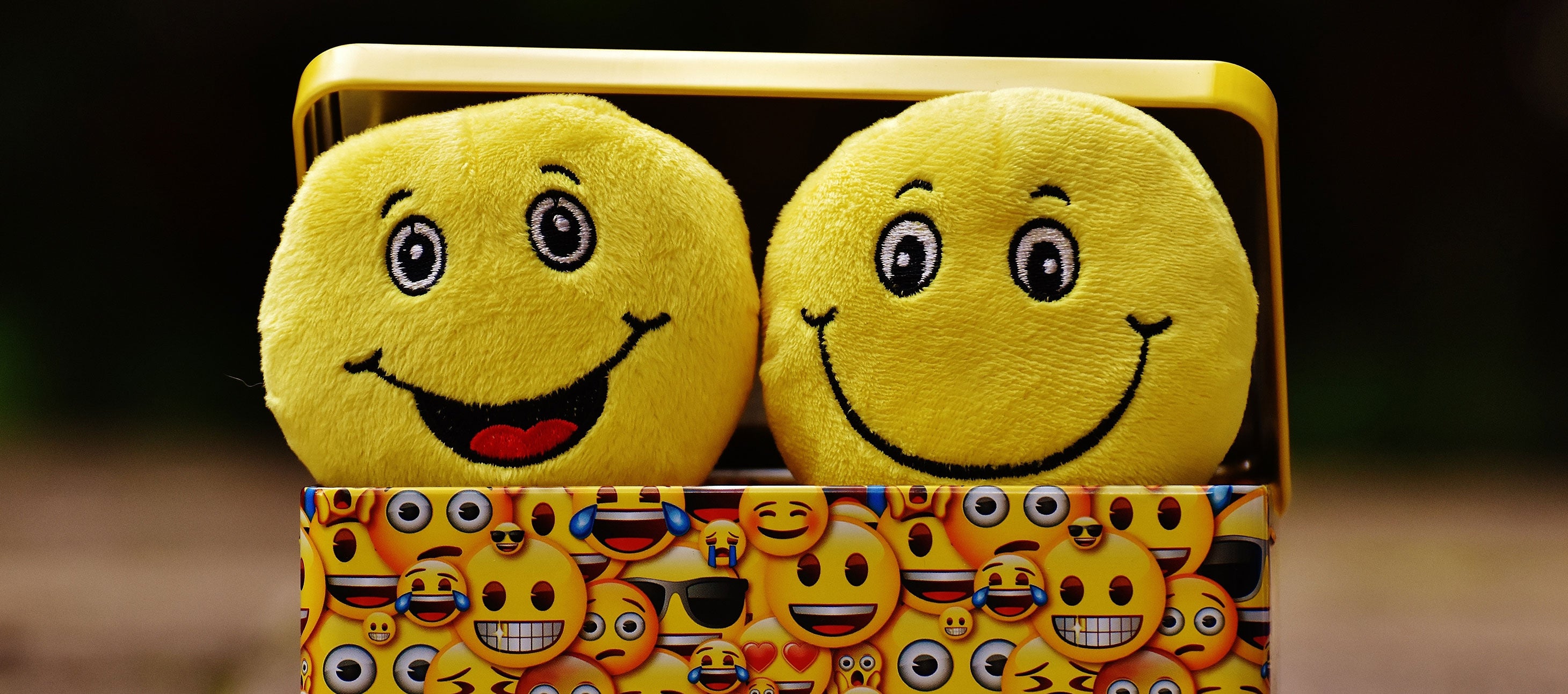 The Emotional Ingredients Necessary for Business Success