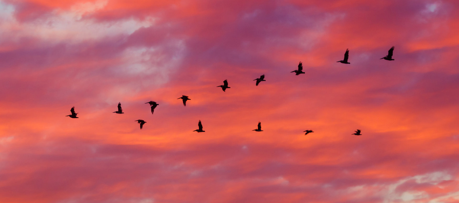 Migrating from Magento over to Shopify