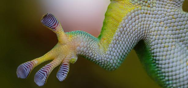 How to make your website sticky